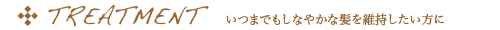 treatment いつまでもしなやかな髪を持続したい方に